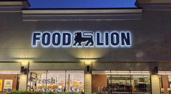 Food lion survey